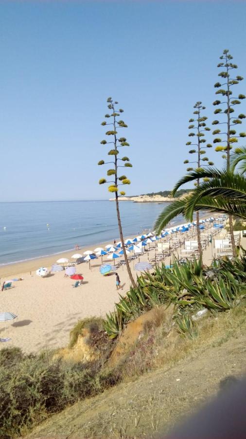 Apartamento Do Algarve Armacao de Pera Luaran gambar
